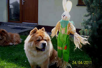 c_lebensjahr4_bild10.jpg (101797 Byte)