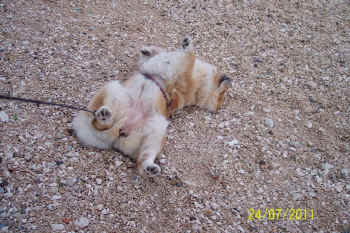 c_lebensjahr4_bild11.jpg (158205 Byte)