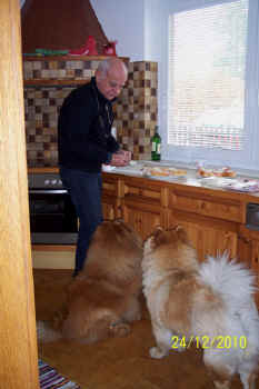 c_lebensjahr4_bild1.jpg (79192 Byte)