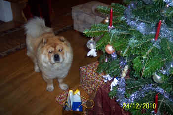 c_lebensjahr4_bild3.jpg (115014 Byte)