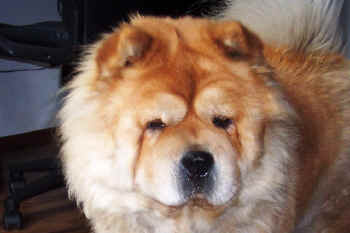 c_lebensjahr4_bild4.jpg (81860 Byte)