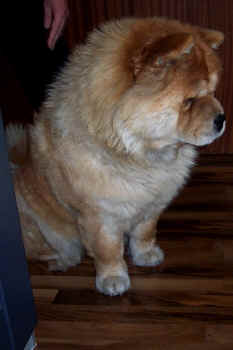 c_lebensjahr4_bild5.jpg (76025 Byte)