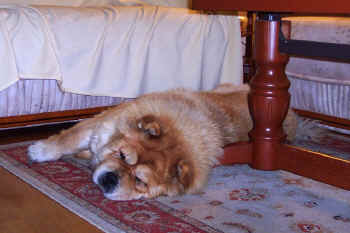 c_lebensjahr4_bild6.jpg (94775 Byte)