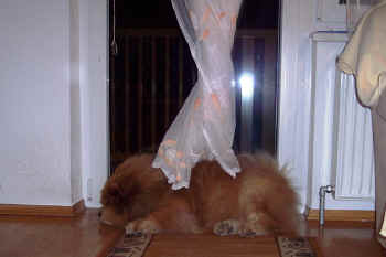 c_lebensjahr4_bild7.jpg (71849 Byte)