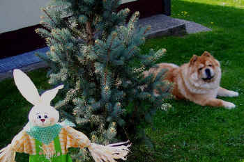 c_lebensjahr4_bild9.jpg (146993 Byte)