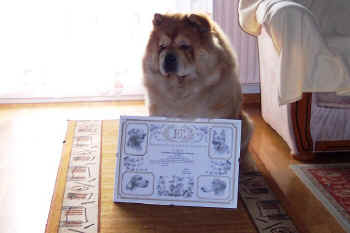 c_lebensjahr5_bild10.jpg (67812 Byte)