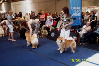 c_lebensjahr5_bild11.jpg (93577 Byte)