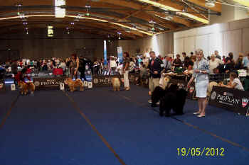 c_lebensjahr5_bild12.jpg (95782 Byte)