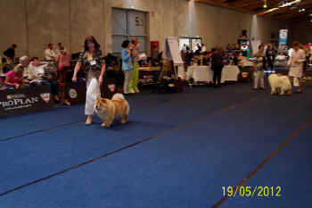 c_lebensjahr5_bild13.jpg (76605 Byte)