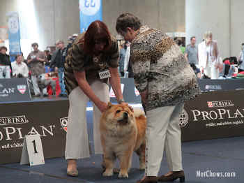 c_lebensjahr5_bild14.jpg (83951 Byte)