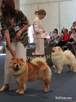 c_lebensjahr5_bild15.jpg (70423 Byte)