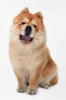 c_lebensjahr5_bild1.jpg (110136 Byte)