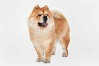 c_lebensjahr5_bild2.jpg (92568 Byte)