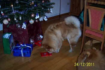 c_lebensjahr5_bild3.jpg (93510 Byte)