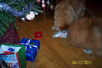 c_lebensjahr5_bild4.jpg (96772 Byte)