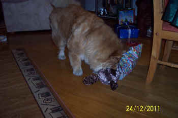 c_lebensjahr5_bild5.jpg (75607 Byte)