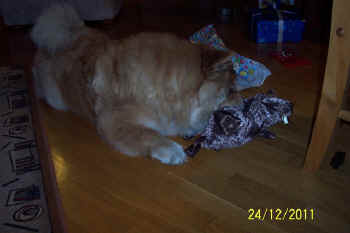 c_lebensjahr5_bild6.jpg (69502 Byte)