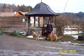 c_lebensjahr5_bild7.jpg (121330 Byte)