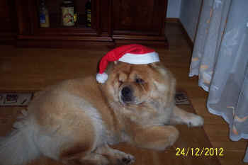 c_lebensjahr6_bild1.jpg (72253 Byte)