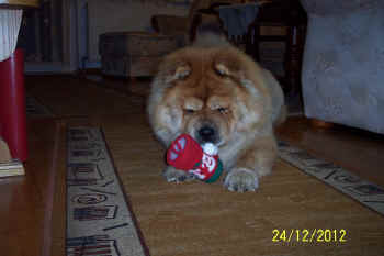 c_lebensjahr6_bild2.jpg (75378 Byte)