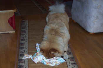 c_lebensjahr6_bild3.jpg (71610 Byte)