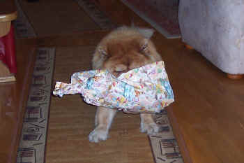 c_lebensjahr6_bild4.jpg (83115 Byte)