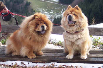 c_lebensjahr6_bild5.jpg (118679 Byte)