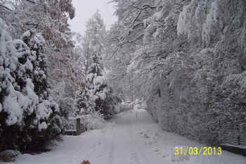 c_lebensjahr6_bild6.jpg (122559 Byte)