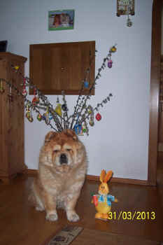 c_lebensjahr6_bild7.jpg (69012 Byte)