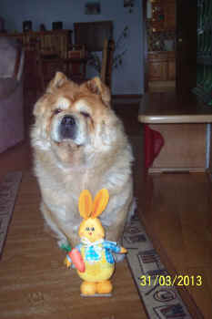 c_lebensjahr6_bild8.jpg (75189 Byte)