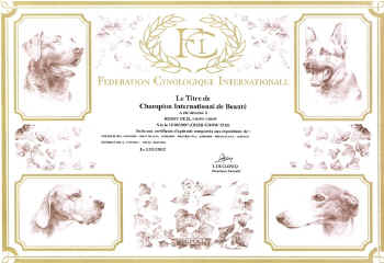 c_urkunde_chint.jpg (147844 Byte)