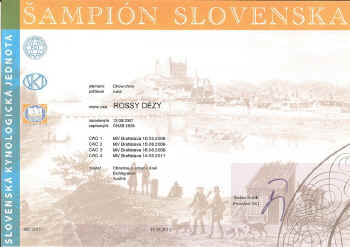 c_urkunde_chsr.jpg (83217 Byte)