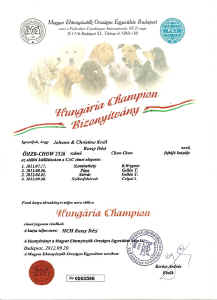 c_urkunde_hch.jpg (111219 Byte)