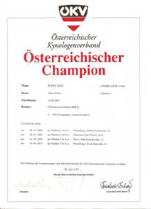 c_urkunde_oech.JPG (139182 Byte)