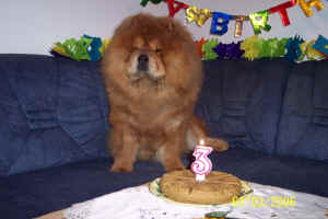 geburtstag3_bild4.jpg (185776 Byte)