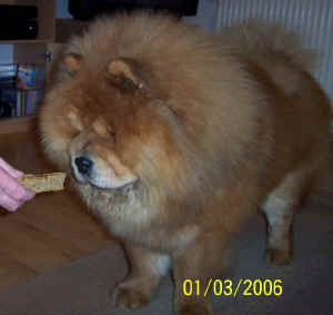 geburtstag3_bild5.jpg (209191 Byte)
