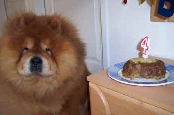 geburtstag4_bild5.jpg (156303 Byte)