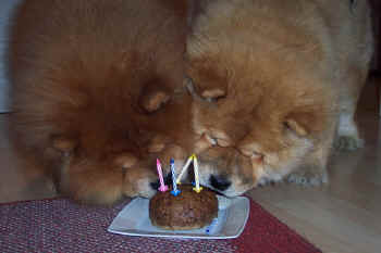 geburtstag5_bild7.jpg (74789 Byte)