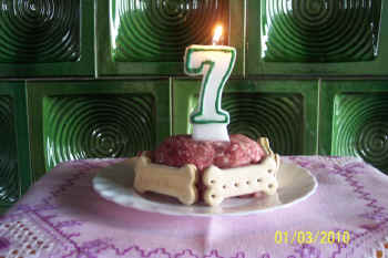 geburtstag7_bild1.jpg (80899 Byte)