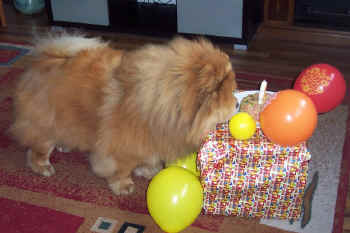 geburtstag8_bild3.jpg (93962 Byte)