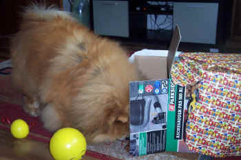 geburtstag8_bild6.jpg (93908 Byte)