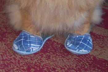 geburtstag8_bildSchuhe2.jpg (88298 Byte)