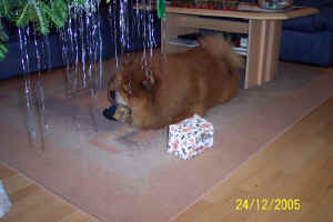 lebensjahr3_bild10.jpg (183915 Byte)