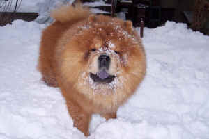 lebensjahr3_bild11.jpg (151183 Byte)