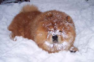 lebensjahr3_bild12.jpg (161077 Byte)