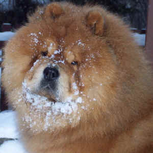 lebensjahr3_bild13.jpg (148383 Byte)