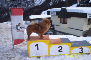 lebensjahr3_bild1.jpg (201729 bytes)