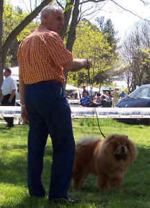 lebensjahr3_bild2.jpg (249400 Byte)