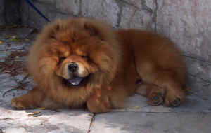 lebensjahr3_bild3.jpg (164480 Byte)