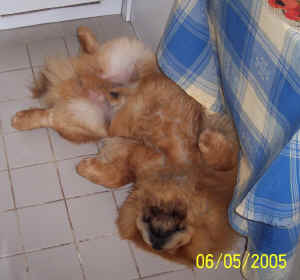 lebensjahr3_bild6.jpg (244395 Byte)